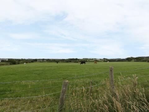 Ty Rhos, Farm Stay, Sleeps 4, Rhoshirwaun 2 Miles From อาเบอร์ดารอน ภายนอก รูปภาพ