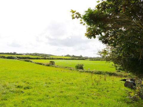 Ty Rhos, Farm Stay, Sleeps 4, Rhoshirwaun 2 Miles From อาเบอร์ดารอน ภายนอก รูปภาพ